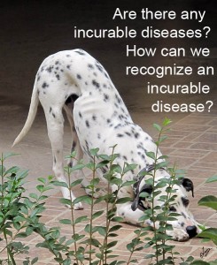 IncurableDiseases