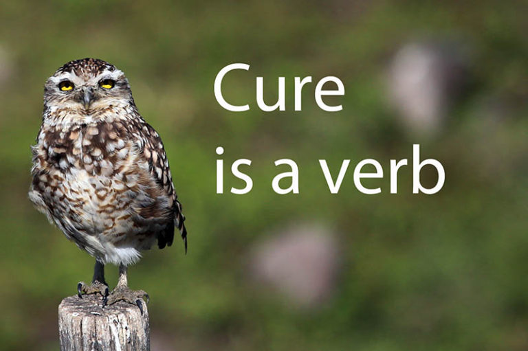 cure-is-a-verb-healthicine